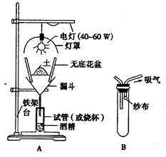 霍尔传感器与简谐振动实验，探索与应用