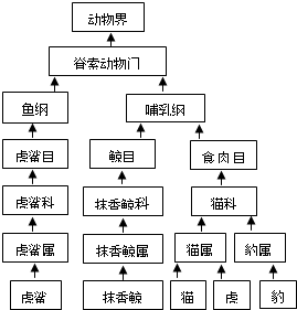 吹奏类乐器分为哪三类