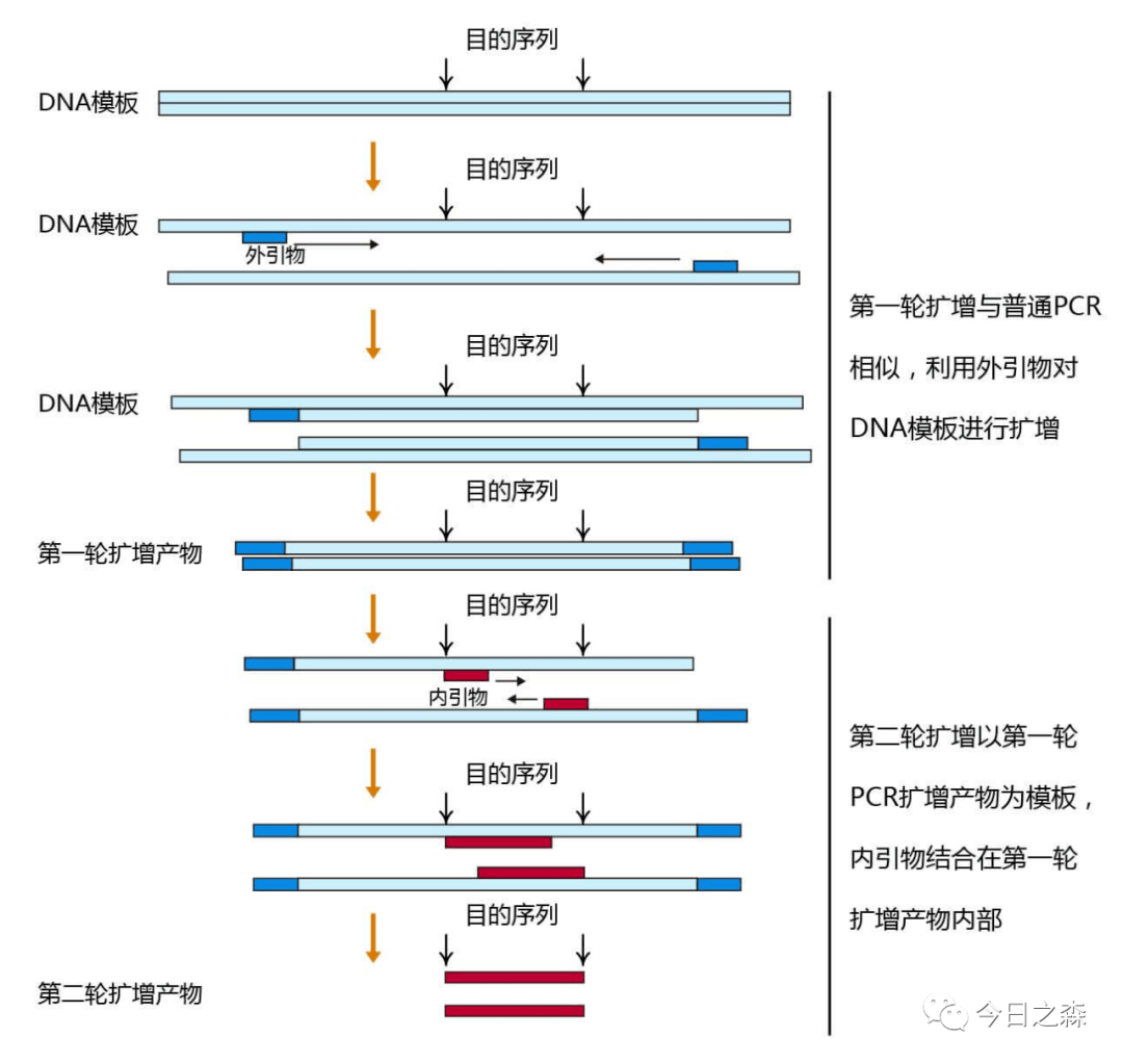 PCR扩增仪操作过程及步骤详解,高效实施设计策略_储蓄版35.54.37