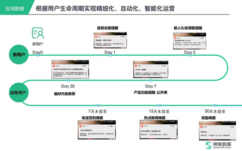 绵纶是什么