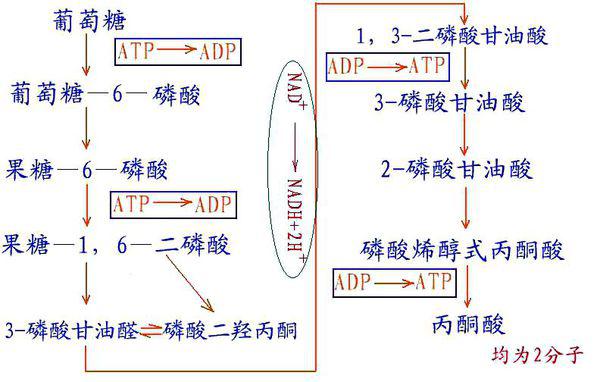 主令电器的作用及其重要性,权威诠释推进方式_tShop42.54.24