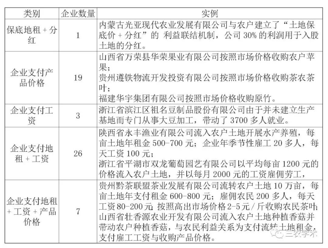 在森林麋了鹿