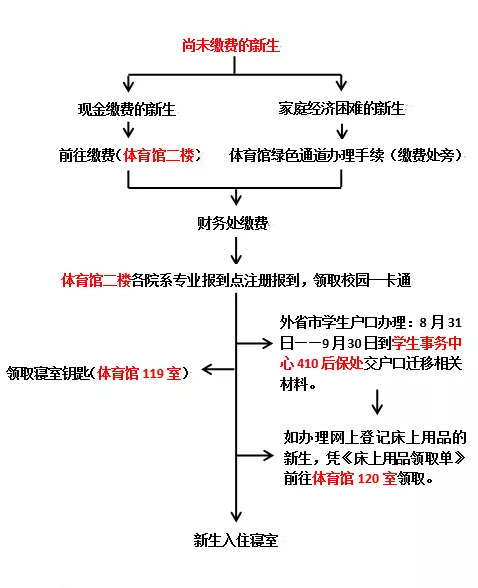 市政工程与环境工程的区别，理解两门学科的独特性与交叉点,全面应用数据分析_挑战款69.73.21