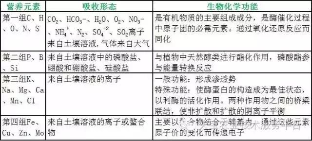 微量元素肥料与防爆安全技术之间的关系，探究与解析,实地验证方案策略_4DM16.10.81