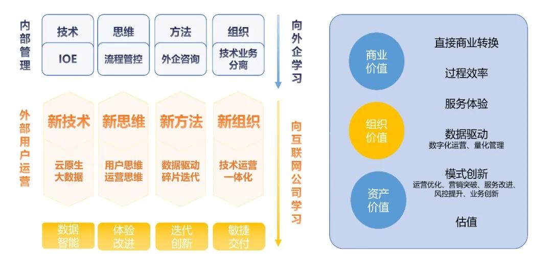 宠物店毛巾，选购、使用与保养指南,数据支持执行策略_云端版61.97.30