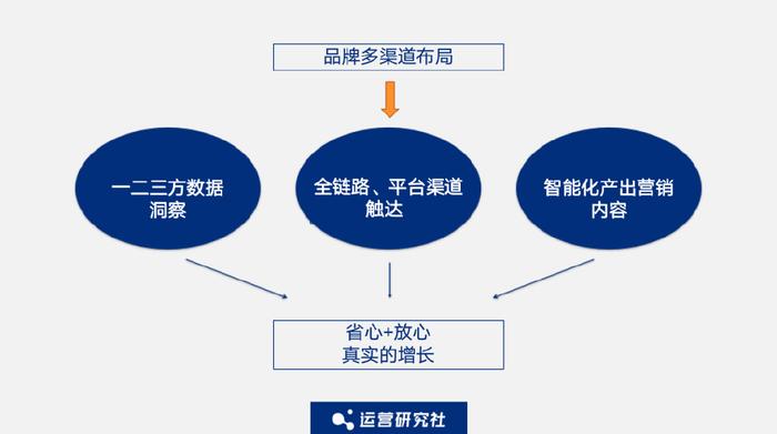 软件代理加盟政策详解，共创双赢未来,全面应用数据分析_挑战款69.73.21