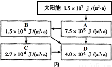 vcd制作系统与碳水化合物结合模块有哪些