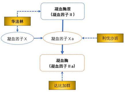 有机合成中间体是什么意思