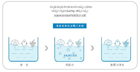 果蔬净化机使用方法