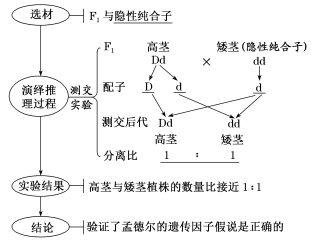 钢笔与给小孩用定时器的坏处，两种不同事物的潜在不利因素探讨,调整细节执行方案_Kindle72.259