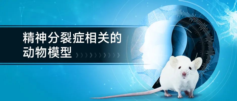 动物模型建模，从基础到应用,精细解析评估_UHD版24.24.68